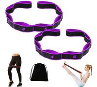 2026 New Fitness Resistance Band for Stretching and Yoga, Numbered Resistance Band for Glute Training, Fitness Resistance Bands Adjustable 8-Segment Multi-Loop Stretch Strap (Purple*2)