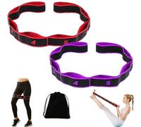 2026 New Fitness Resistance Band for Stretching and Yoga, Numbered Resistance Band for Glute Training, Fitness Resistance Bands Adjustable 8-Segment Multi-Loop Stretch Strap (Red+Purple)