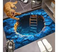 2026 New Optical Illusion Rug, 3D Rugs Illusion, Rug That Looks Like A Hole for Indoor and Outdoor Entrance, Startled Cats and Dogs, They Backed Away(A,60 * 90cm)