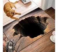 2026 New Optical Illusion Rug, 3D Rugs Illusion, Rug That Looks Like A Hole for Indoor and Outdoor Entrance, Startled Cats and Dogs, They Backed Away(M,40 * 60cm)