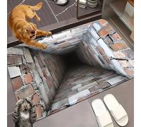 2026 New Optical Illusion Rug, 3D Rugs Illusion, Rug That Looks Like A Hole for Indoor and Outdoor Entrance, Startled Cats and Dogs, They Backed Away(K,60 * 90cm)