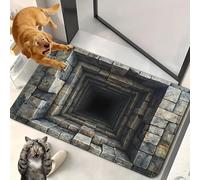 2026 New Optical Illusion Rug, 3D Rugs Illusion, Rug That Looks Like A Hole for Indoor and Outdoor Entrance, Startled Cats and Dogs, They Backed Away(G,40 * 60cm)