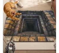 2026 New Optical Illusion Rug, 3D Rugs Illusion, Rug That Looks Like A Hole for Indoor and Outdoor Entrance, Startled Cats and Dogs, They Backed Away(I,60 * 90cm)