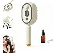 2026 new Peigne Massage à Coussin D'Air Et Spray éLectrique,brosse vapeur cheveux,Brosse Vapeur Électrique,3 en 1 et massage à coussin d'air, outil de coiffure portable sans fil