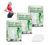 2026 New Upgraded Style Moringa 10-in-1 Nano Microdarts Patch, Advanced Moringa Patches, Natural Body Patches for Women and Men - Gentle Formula for All Skin 3PCS