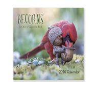 2026 Nouveau calendrier des oiseaux Yea Extrêmement précis, 2026 Calendriers d'oiseau folklorique de la forêt, 2026 Becorns Calendrier mural d'Halloween, avec illustrations différentes