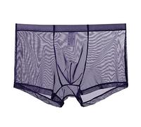 2026 Nouveautés Sexy Hommes Soie Glace Transparent Triangle Pants Mince Taille Basse Maille Respirant Sous-vêtements Culottes Tête, lilas, XL