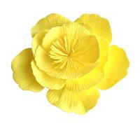 2026 Nouveaux accessoires Bandeau pour femme Tea Party Mariage Cocktail Plumes en maille Clip (jaune, taille unique)