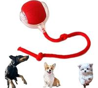 2026 Nouveaux Ball Automatique Interactif, Jouets à Balle Roulante Interactifs, Rechargeables, Actifs, Chat, Chien, Animal de Compagnie, Jouets Intérieurs, Matériaux Durables et Sûrs (Rouge)