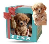 2026 Robot Dog for Kids, Mon Chiot Robot Réaliste Qui Agit comme Un Vrai Chiot - Marche, Aboiement, Reprise de la Queue, Adapté Aux Enfants de Moins de 5 Ans A