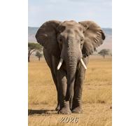 2026: Small Monthly Calendar Planner - Elephant On The African Savannah