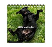 2027 Black Labrador Retriever 12-Month Wall Calendar