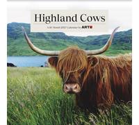 2027 Highland Cows Wall Calendar
