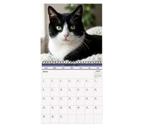 2027 Kitten Wall Calendar - Cute Cat Monthly Planner Spiral Bound