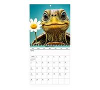 2027 Turtle Wall Calendar - Jan To Dec 2027 Spiral Binding Wall Planner