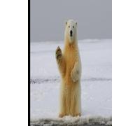 2027 Weekly Planner: Cute polar bear design organiser for all your planning needs. Great gift for home and work, family and friends.