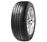 205/45 R17 88V Pneu Hiver MINERVA S210 XL M+S 3PMSF T XL