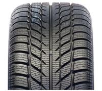 GoodRide Pneu hiver SW608 205/50 R17 93H XL M+S 3PMSF