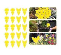 20e Klibbiga Fllor, Sticky Fruktfluga Et Plantera Myggbugg