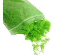 20g DIY Mini feuilage-00072, modèle de feuillage en forme de villiforme pour Diorama bricolage, matériau éponge vert citron