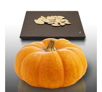 20graines à semer - Le Grenier d'Abondance - COLOQUINTE ou Potiron Décoratif - Citrullus colocynthis