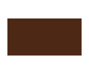 20ml Turner Acrylique Gouache Burnt Umber 37