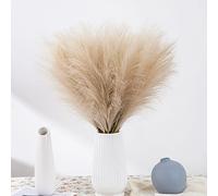 20pcs Dry Pampas Nature Decor Grand Pampas Herbe Bouquet de Fleurs séchées Pampas Roseau Blanc Brun Lapin Queue Herbe Mariage Partie Vase bohème Decor (Brown)