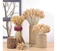 20pcs Naturel Fleur Lapin Queue Séchées Herbe Décoration Bouquets Grappes 16 Pouces