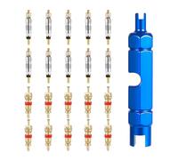 20pcs Noyau de Valve pour Presta et Schrader, Outil de Valve Remplacement de Vélo avec Outil de Retrait du Noyau de Valve en Métal pour Pneus de Vélo de Route VTT sans Chambre à Air
