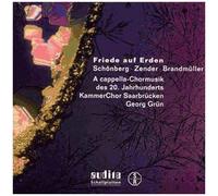 NAXOS – 20th Century A Capella Choir Music (Grun)