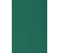 20x Carton Vert Foncé 250g Papier Décoratif A4 210x297mm Burano English Green Idéal Pour Cartes De Voeux Scrapbooking Bricolage Invitations Art Et Artisanat Anniversaire Diy Loisirs Créatifs
