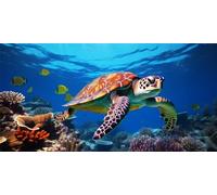 20x40cm Diamond Painting Grand Format, Tortue mer Diamant Painting DIY 5D Mosaïque Peinture Numéro Point De Croix Tableau Perle Diamant, Loisirs Créatifs Adultes/Enfants, Décoration Intérieur-D17