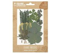 21 fleurs pressées - forêt 2