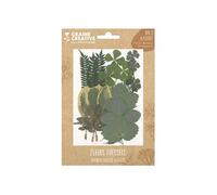21 fleurs pressées - forêt 2 - Graine Créative