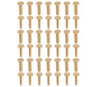 21 Paires Écrous à Riveter pour Manche de Couteau, Kit DIY