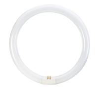 216-4-181 Tube fluorescent circulaire tri-phosphore T9 6500 K 2900 lm 40 W 230 V -