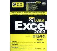 办公高手成长日记:21天精通Excel2003办公双色版