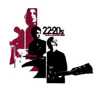 22-20s Vinyle