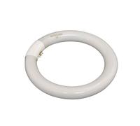 22 W 240 V Tube fluorescent circulaire Culot G10q 216 mm Diamètre
