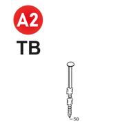 2200 POINTES 20° 29 X 50 ANNELÉES INOX TB - ASLAFIX - 20290508