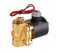 220V DN15 1/2 "électrovanne vanne à eau électrique vanne électromagnétique à vanne fermée normale pour eau huile air gaz pour amateur à la maison