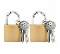 2212 Lot de 2 U Lock avec Clés - vidaXL - fer - rouille - 2 1 x 1 1 x 3 5 cm - Résistant aux intempéries 0.09 kg