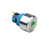 22319Z 22mm flat round button illuminated dot led push button switch IP67 stainless steel NWPNLXEA(12V Green LED)