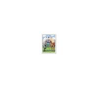 Ravensburger 237081 Jouet d'art et d'artisanat G