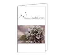 24-1006-B Carte Sincères Condoléances avec Enveloppe Blanche 10x16,5cm - Fleur Hortensia Graines de Pissenlit Moderne Contemporain Design Épuré Gris Rosé Argenté Brillant Deuil Décès