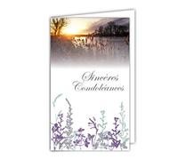 24-1017-B Carte Sincères Condoléances Format 16x9,5cm avec Enveloppe Blanche Décès Deuil Paysage Paisible Soleil Couchant Vol Oiseaux Colombes mains Paix Eau Lac Herbe Graminée Fabriqué en France