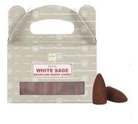 Lot de 6 cônes à refoulement Satya - Boîte de 24 pièces/Sauge Blanche