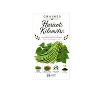 24 graines haricot long yard -metro - Yardlong beans - Haricots kilomètre ou haricots mètres