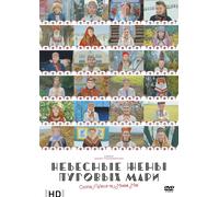 24 Hd [Dvd]