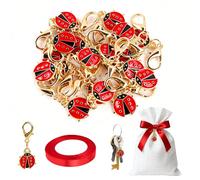 24 Pièces Breloques Coccinelle Porte occinelle Pendentifs, Pendentif Porte Bonheur Rouge pour Boucles d'oreilles, Bracelets, Colliers, Pendentifs, pour Mariage Anniversaire Fête Baptême